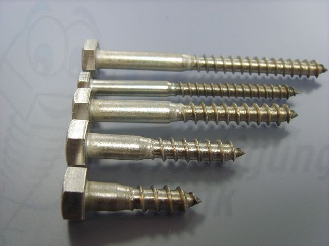DIN 571 - Edelstahl A2 - 5 x 60mm