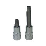 Stecknuss Bit - Vielzahn