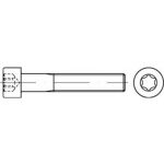 Zylinder ISR (ISO14579)