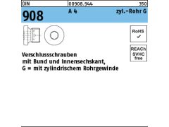25 x Verschlußschrauben DIN 908 G 3/8 A Edelstahl A4