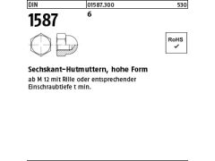 10 x Sechskant-Hutmuttern DIN 1587 6 M30 (blank/schwarz)