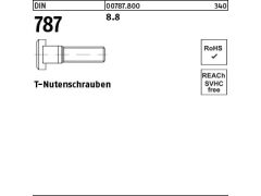 10 x T-Nutenschrauben DIN 787 8.8 16 M16 x 125 (blank/schwarz)