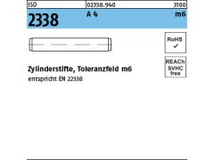 10 x ISO 2338 Zyl. Stift, m6, 16 x 20 Edelstahl A4