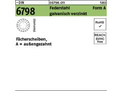 100 x Fächerscheiben DIN 6798 Federstahl Form A 19 verzinkt