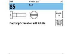 100 x Flachkopfschrauben DIN 85 M6x30 Edelstahl A2