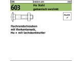 100 x Flachrundschrauben DIN 603 Mu St. M6 x 150 verzinkt