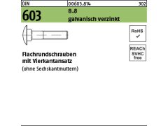 100 x Flachrundschrauben DIN 603 o.Mu 8.8 M10 x 35 verzinkt