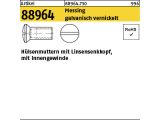 100 x H&uuml;lsenmuttern Linsensenkkopf Messing M6x15 vernickelt