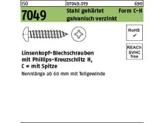 100 x Linsen-Blechschr. ISO 7049 Form C-Spitze H 2,9 x 19 verzinkt