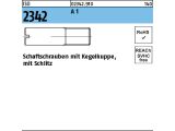 100 x Schaftschr. m. Schlitz ISO 2342 M10 x 20 Edelstahl A1