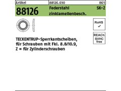 100 x TECKENTRUP-Sperrkantscheiben C 60 SKZ 16 Zinklamellen