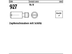 100 x Zapfenschrauben DIN 927 14 H M6 x 12 (blank/schwarz)