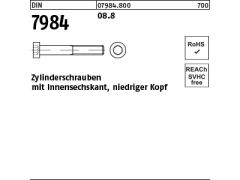 100 x Zylinderschrauben DIN 7984 - 8.8 M6x16