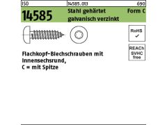 1000 x Blechschrauben ISO 14585-C 4,2x9,5 -T20 verzinkt