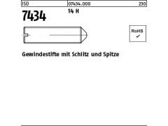 1000 x Gew.stifte mit Schlitz ISO 7434 14H M5x12
