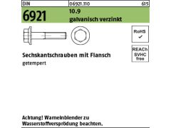 200 x 6kt.schr. mit Flansch DIN 6921 10.9 M10 x 25 verzinkt, getempert
