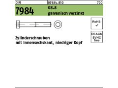 200 x Zylinderschrauben DIN 7984 - 8.8 M5x45 verzinkt