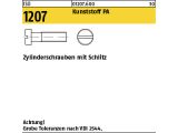 200 x Zylinderschrauben ISO 1207 M2,5 x 10 Polyamid...