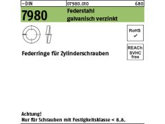 25 x Federringe für Zyl. Schrauben DIN 7980 Federstahl M42 verzinkt