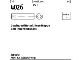 25 x ISO 4026 Gewindestift mit Kegelkuppe 45H M24x90...