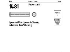 25 x Spannstifte DIN 1481 Federstahl 16 x 50 (blank/schwarz)