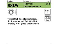 250 x TECKENTRUP-Sperrkantscheiben C 60 SKB 8 Zinklamellen