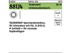 250 x TECKENTRUP-Sperrkantscheiben C 60 SKM 4 Zinklamellen