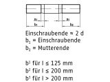 50 x Stiftschrauben DIN 835 5.8 M12 x 35 (blank/schwarz)