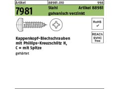 500 x Kappenkopf-Blechschrauben ähnl.7981 3,9 x 22 -H verzinkt