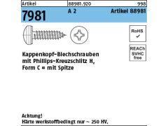 500 x Kappenkopf-Blechschrauben ähnl.7981 3,9 x 25 -H Edelstahl A2