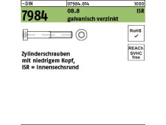 500 x Zylinderschrauben DIN 7984 - 8.8 M5x10 -T25 verzinkt