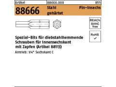1 x Bits für ISK Aufnahme SW 1/4 mit Zapfen SW 2,5 für M 4