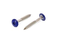 100 x Trespo / Fassaden Flachrundkopf-Holzschrauben Edelstahl A2 - 4,8X38 TX20 - RAL 5002 Ultramarineblau