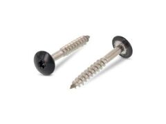 100 x Trespo / Fassaden Flachrundkopf-Holzschrauben Edelstahl A2 - 4,8X38 TX20 - RAL 7016 Anthrazitgrau