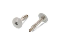 100 x Trespo / Fassaden Flachrundkopf-Holzschrauben Edelstahl A2 - 4,8X25 TX20 - RAL 7038 Achatgrau