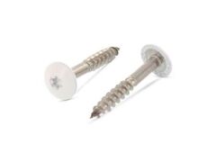 100 x Trespo / Fassaden Flachrundkopf-Holzschrauben Edelstahl A2 - 4,8X25 TX20 RAL 1013 Perlweiß