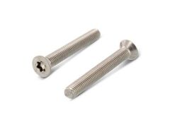 100 x Senkschrauben mit Innensechsrund ISO 14581 A2 M 10X20 TX50