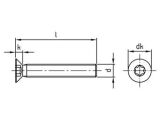 100 x Senkschrauben mit Innensechsrund ISO 14581 A2 M 10X20 TX50