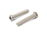 100 x Flachrundkopf-Sicherheitsschrauben mit ISK+Pin...