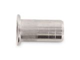 250 x Blindnietmuttern Edelstahl A4 / Rundschaft /...