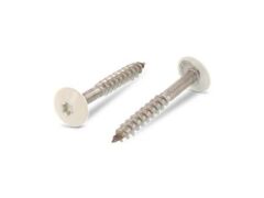 100 x Trespo / Fassaden Flachrundkopf-Holzschrauben Edelstahl A2 - 4,8X50 TX20 RAL 1013 Perlweiß
