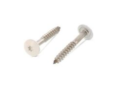 100 x Trespo / Fassaden Flachrundkopf-Holzschrauben Edelstahl A2 - 4,8X50 TX20 - RAL 9001 Cremeweiß