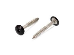 100 x Trespo / Fassaden Flachrundkopf-Holzschrauben Edelstahl A2 - 4,8X60 TX20 - RAL 9005 Tiefschwarz