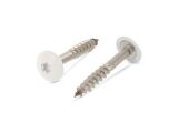 100 x Trespo / Fassaden Flachrundkopf-Holzschrauben...