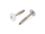 100 x Trespo / Fassaden Flachrundkopf-Holzschrauben Edelstahl A2 - 5,5X35 TX20 RAL 1013 Perlweiß