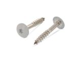 100 x Trespo / Fassaden Flachrundkopf-Holzschrauben...