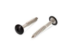 100 x Trespo / Fassaden Flachrundkopf-Holzschrauben Edelstahl A4 - 5,5X55 TX20 - RAL 9005 Tiefschwarz