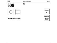 10 x DIN 508 Nutenstein Kl. 10 M20 x 22 (blank/schwarz)