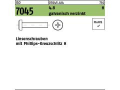 200 x Linsenkopfschrauben ISO 7045 4.8 M3x4 -H verzinkt