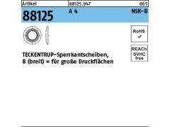 1000 x TECKENTRUP-Sperrkantscheiben NSK-B 6 Edelstahl A4